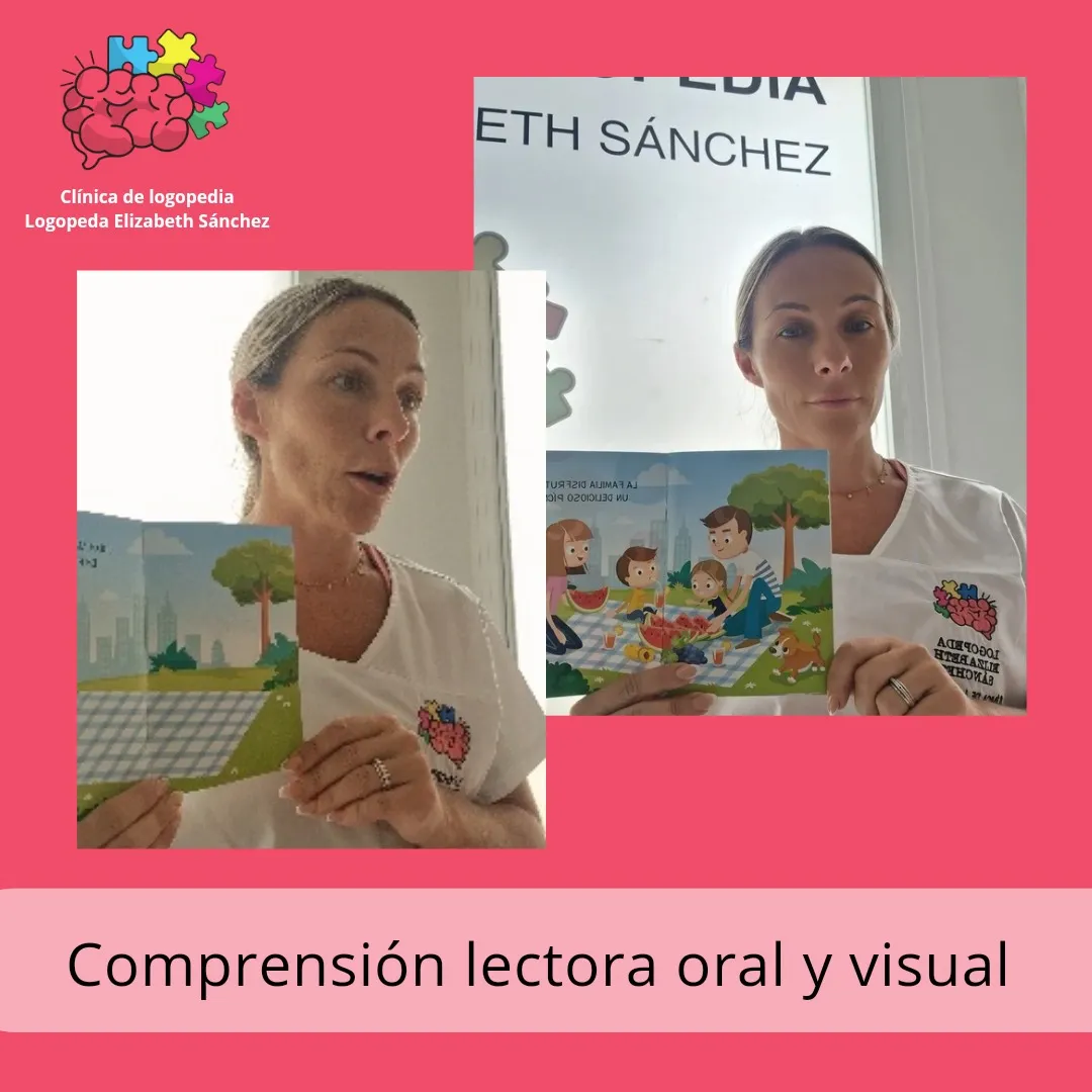 Comprensión oral y visual